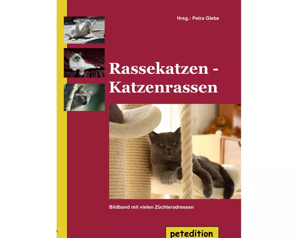 Rassekatzen - Katzenrassen