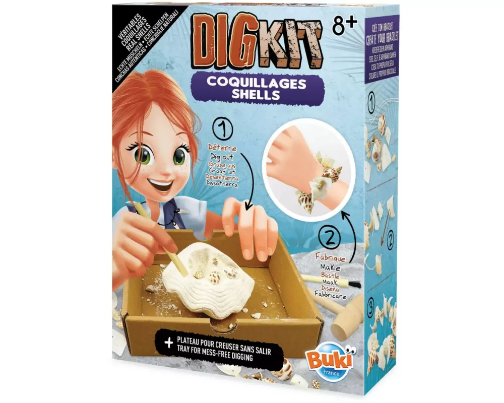 Buki Experimentierkasten DigKit Echte Muscheln