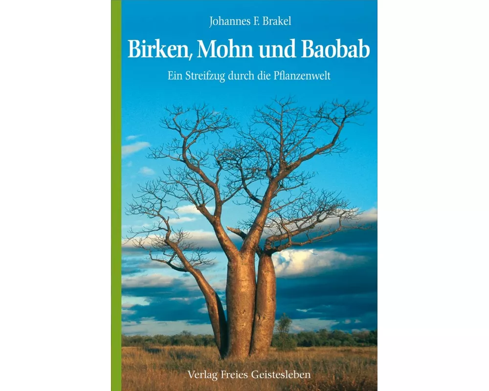 Birken, Mohn und Baobab