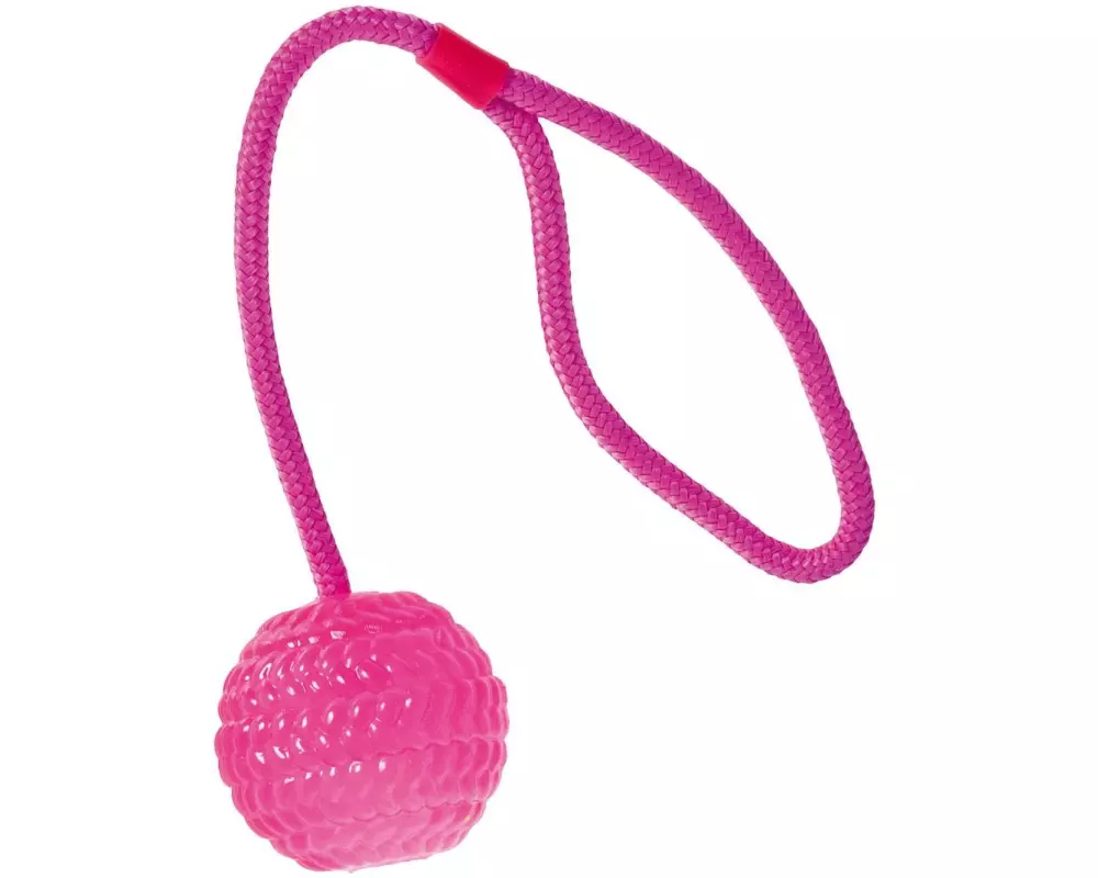SwissPet Hunde-Spielzeug Ball mit Wurfseil, Ø 7 cm, Pink