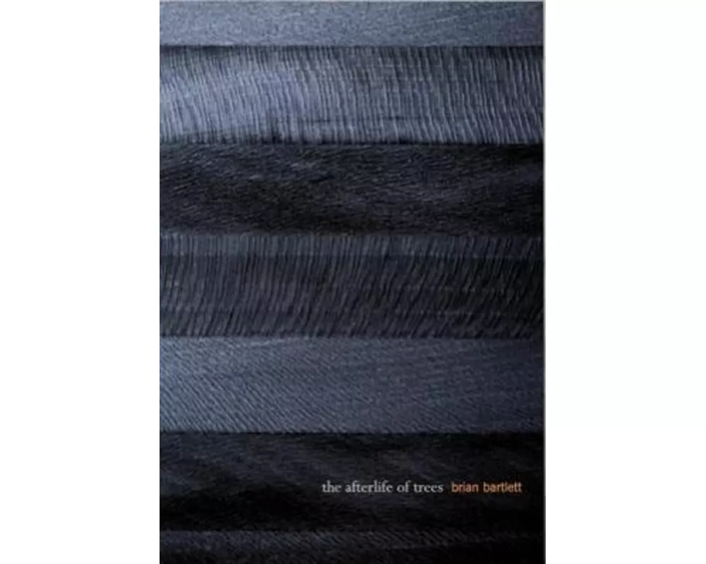 The Afterlife of Trees