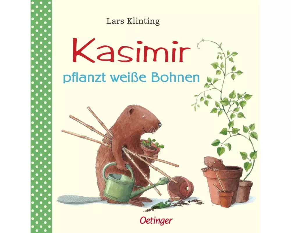 Kasimir pflanzt weisse Bohnen