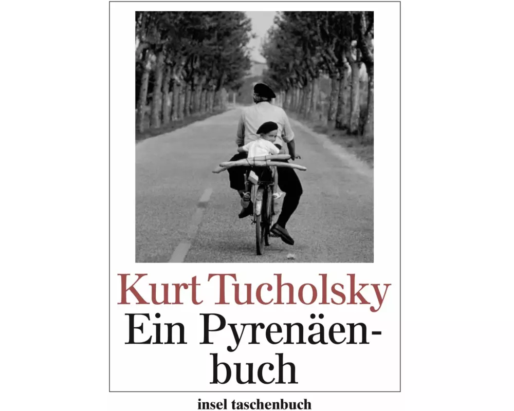 Ein Pyrenäenbuch