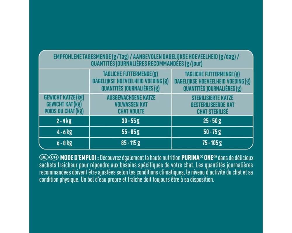 Purina ONE Dry Cat Smn High Protein, Lachs