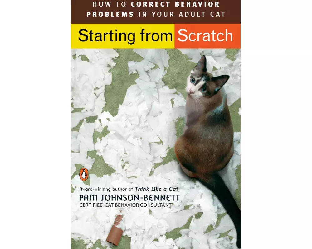 Starting from Scratch