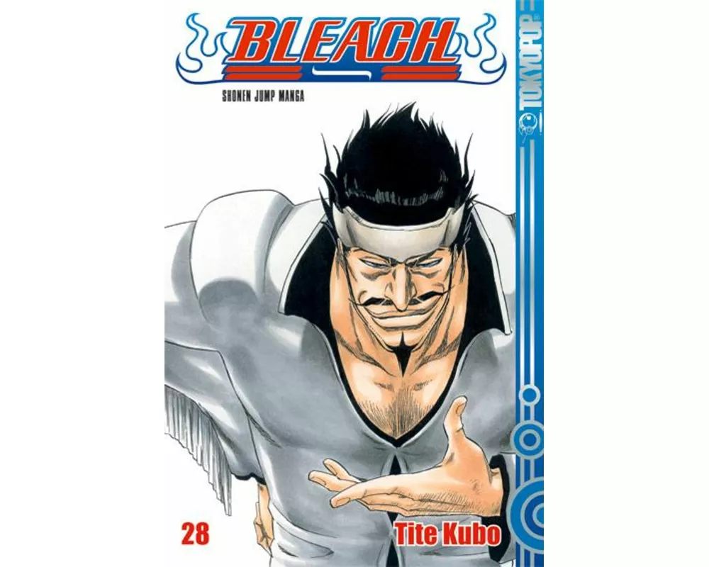 Bleach 28