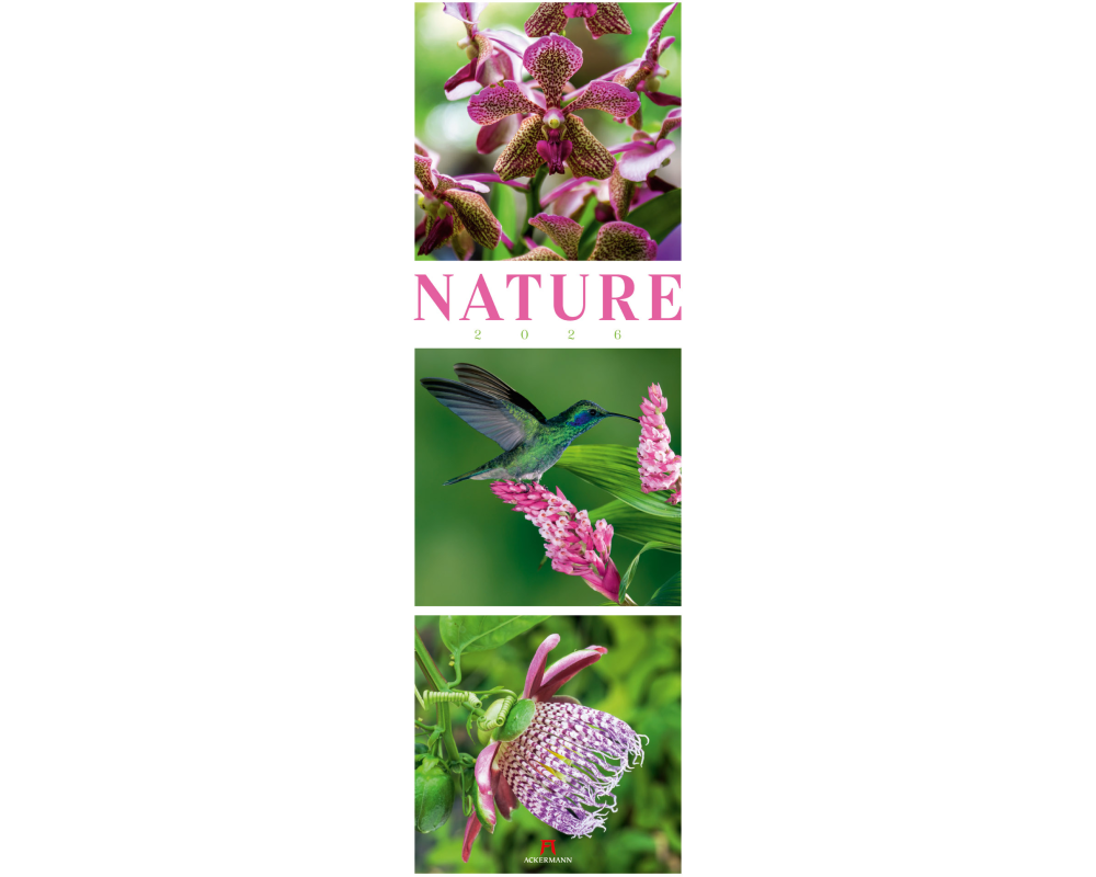 ACKERMANN Bildkalender 2026 2656 Nature ML 33x100cm