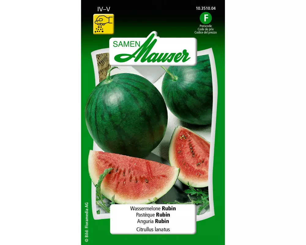Samen Mauser Samen Wassermelone Rubin