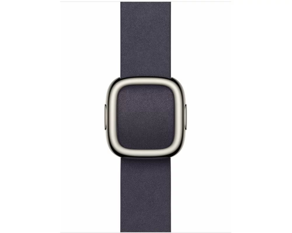 Apple Modern Buckle 42 mm Purple Small