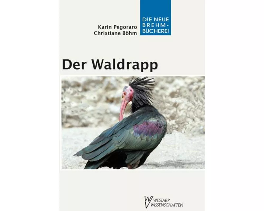 Der Waldrapp