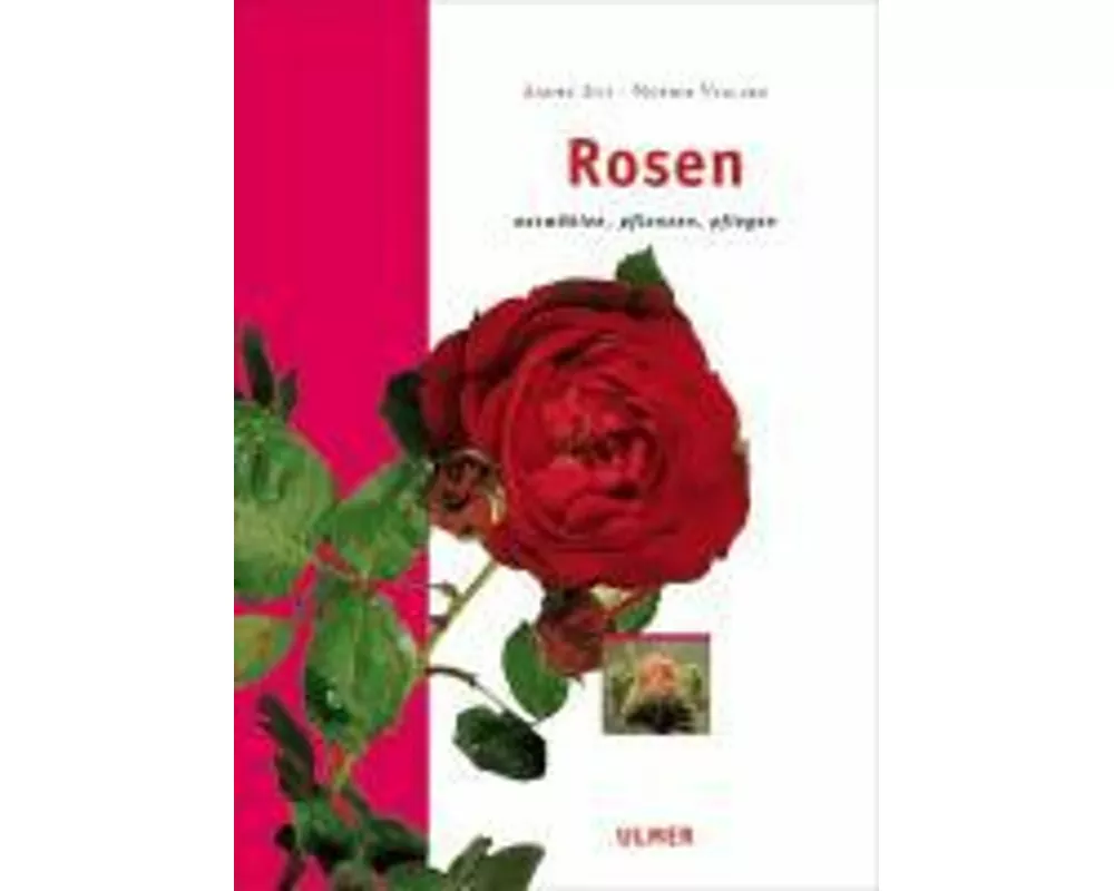 Rosen