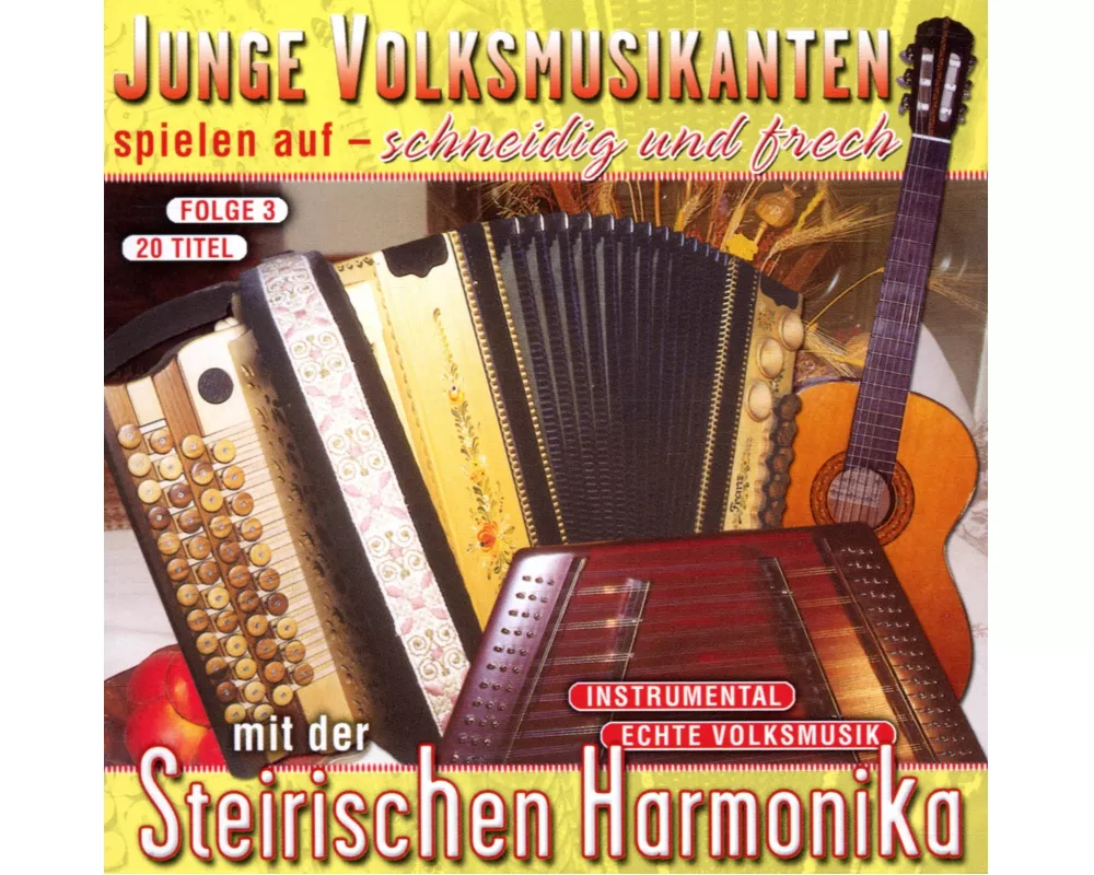 Junge Volksmusikanten spielen