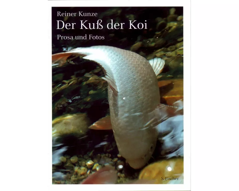 Der Kuss der Koi