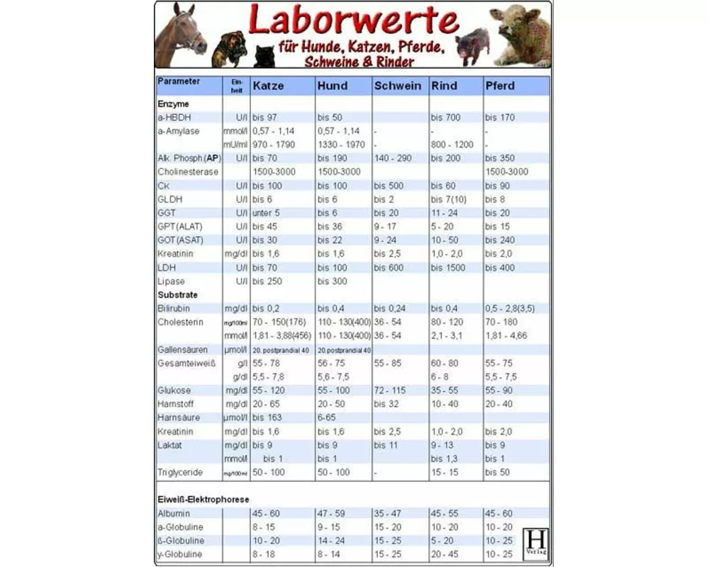 Laborwerte für Hunde, Katzen, Pferde, Schweine, Rinder