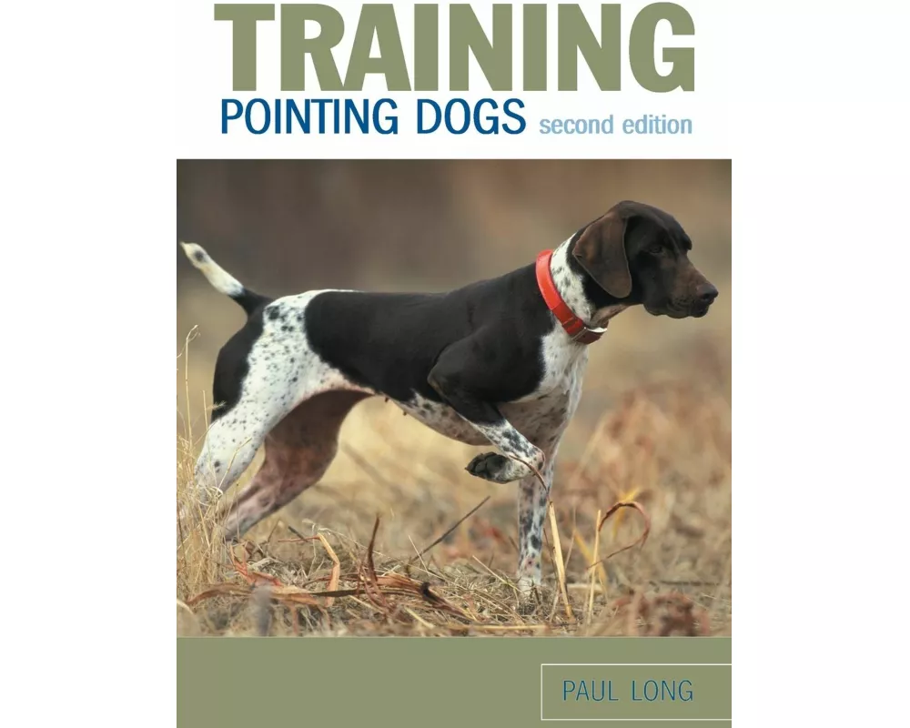 Training Pointing Dogs