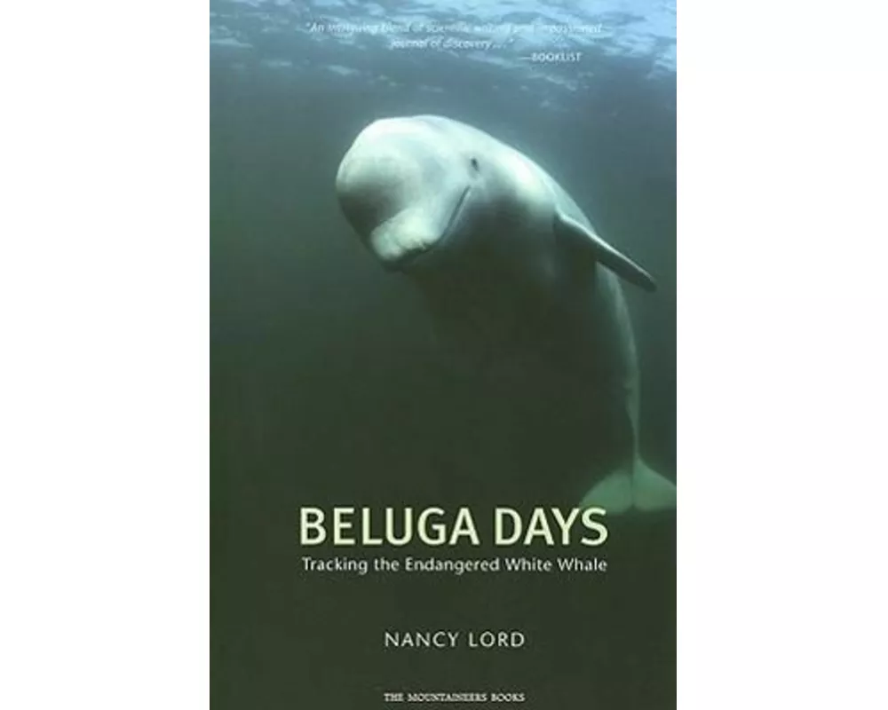 Beluga Days
