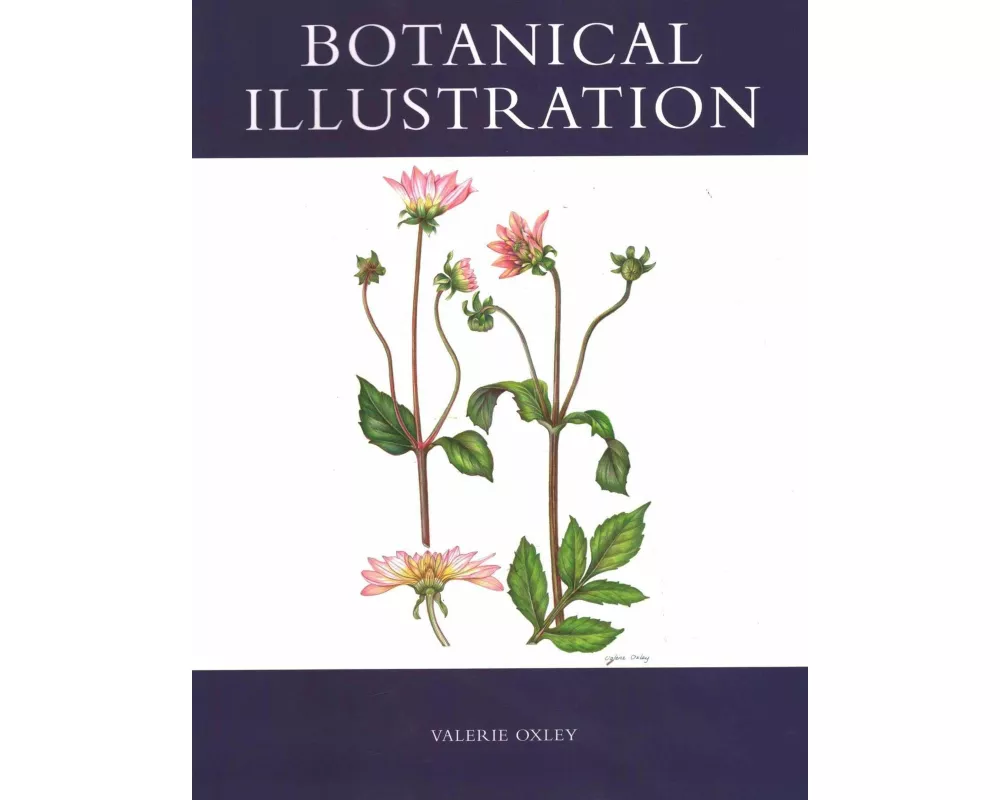 Botanical Illustration