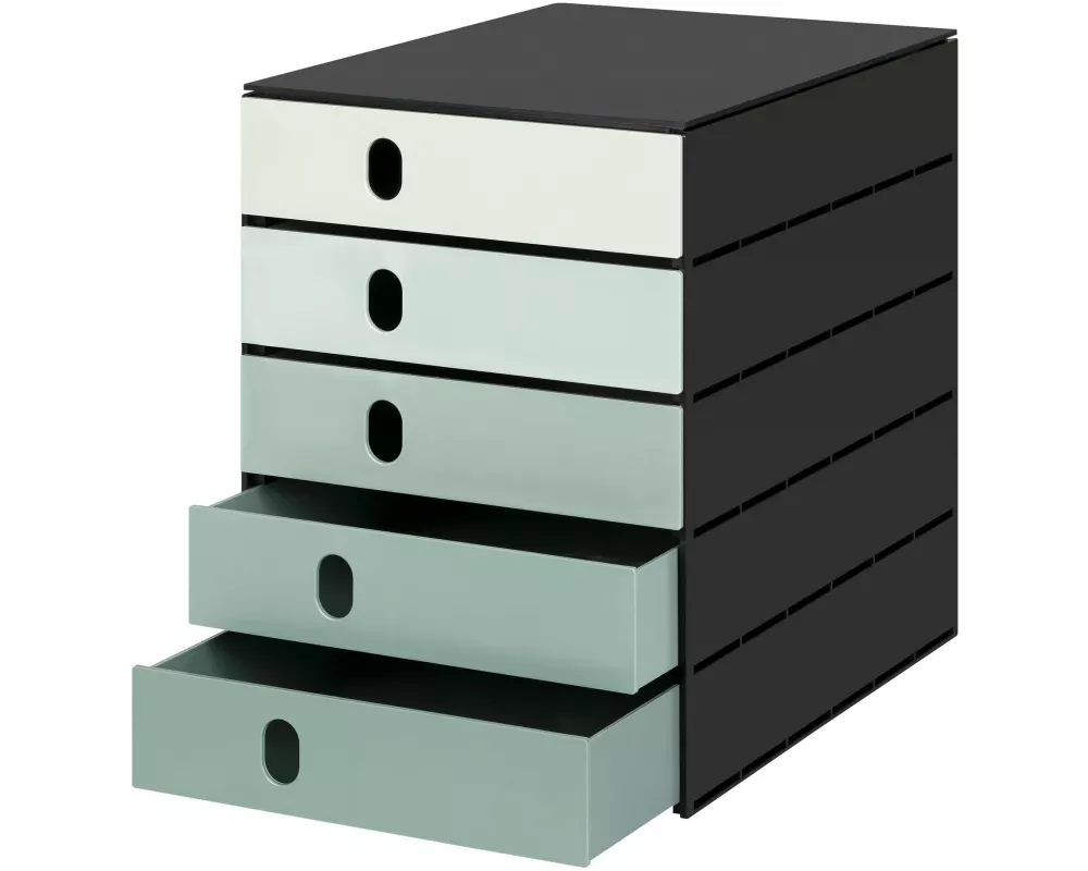 Styro Schubladenbox styroval pro color flow 5 Schubladen, Grün