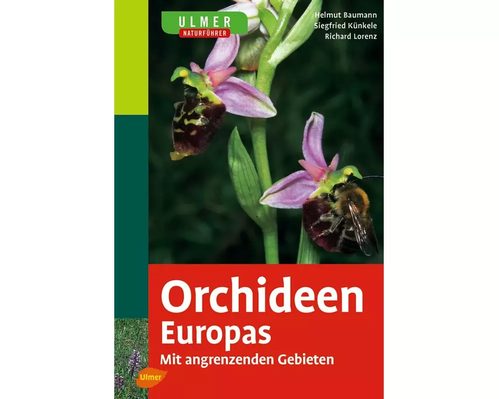 Ulmer Naturführer Orchideen Europas