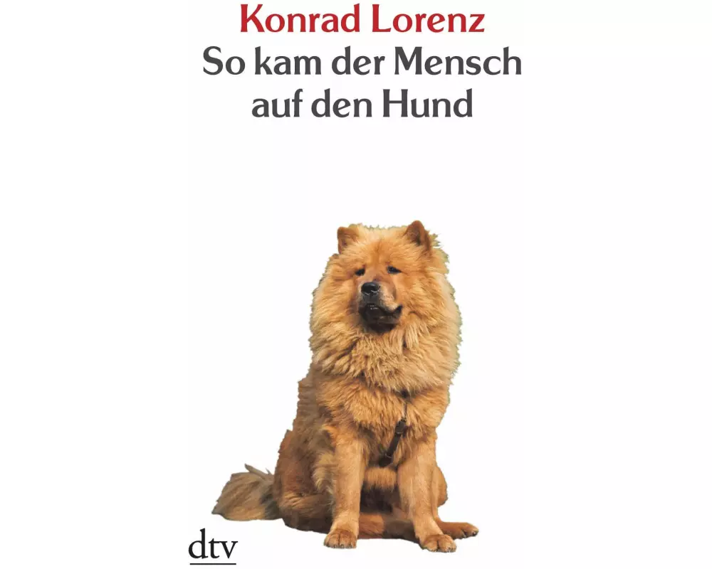 So kam der Mensch auf den Hund