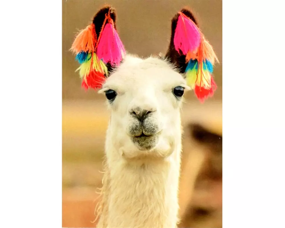 ABC Motivkarte Lama 7 x 10 cm