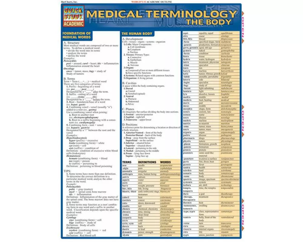 Medical Term.: The Body