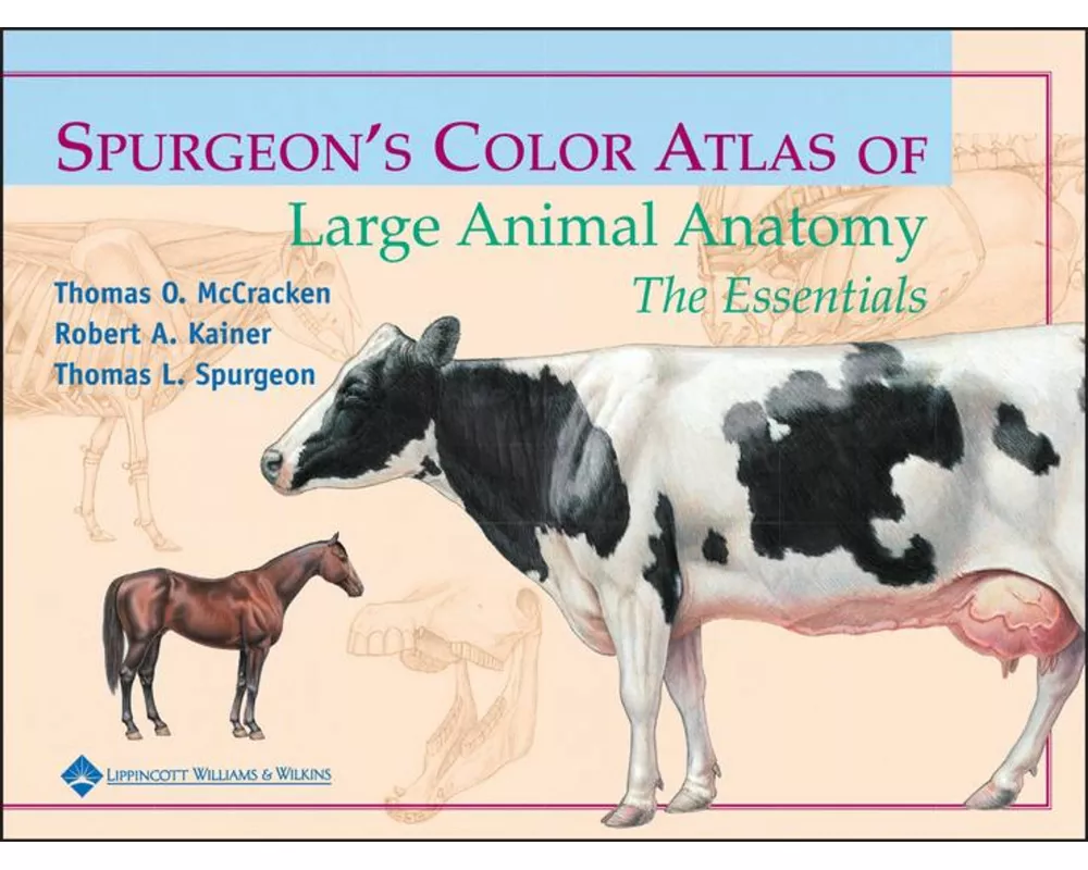Spurgeon's Color Atlas of Large Animal Anatomy