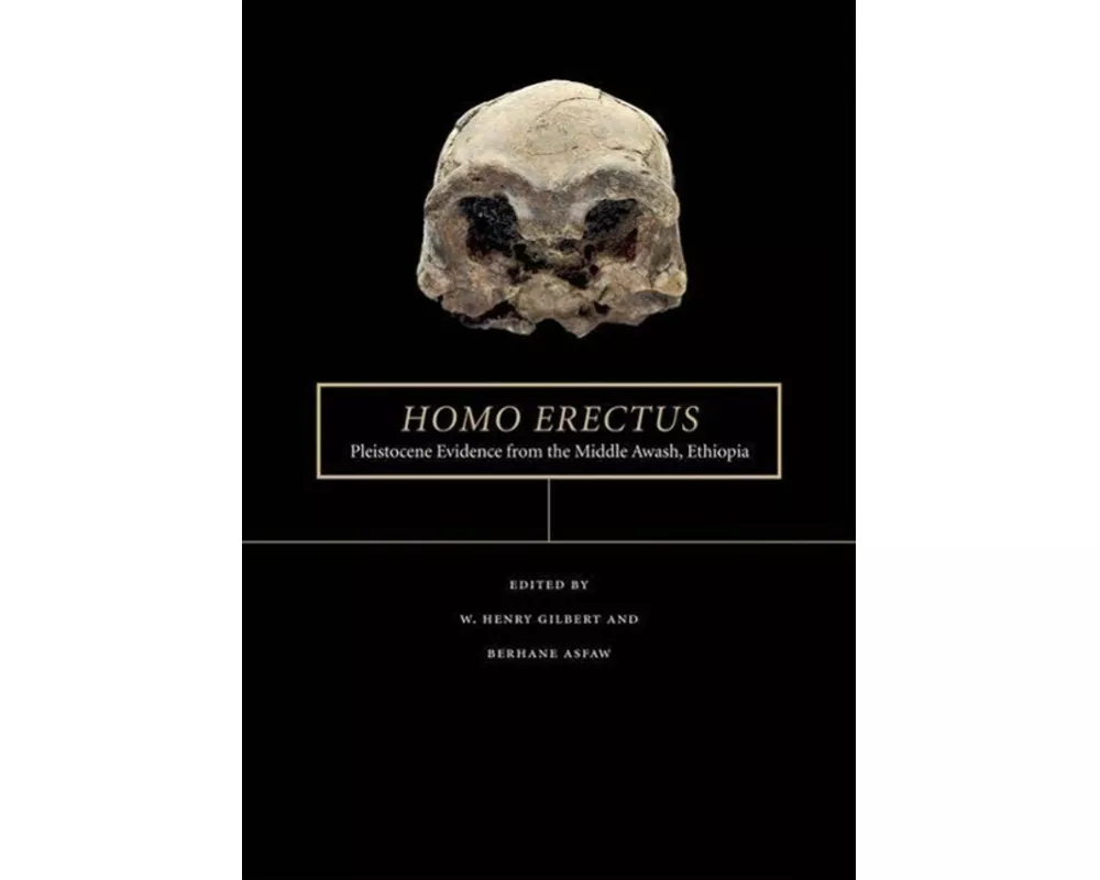 Homo Erectus