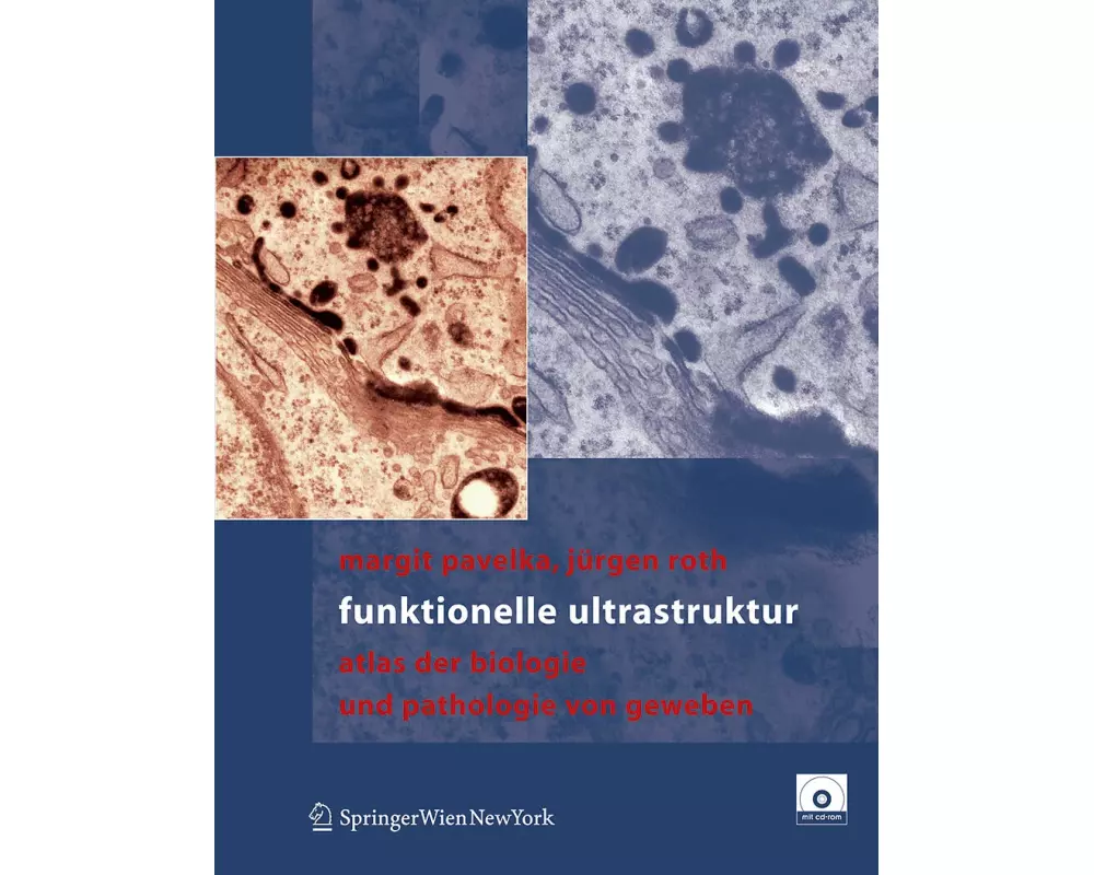 Funktionelle Ultrastruktur