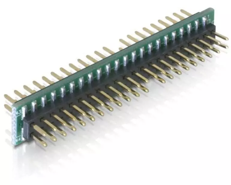 Delock Adapter IDE 44 Pin Stecker