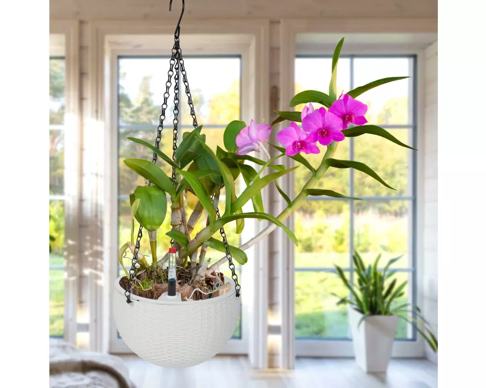 relaxdays Blumenampel mit Wasserspeicher 2er Set 18.5 x 11.5 cm