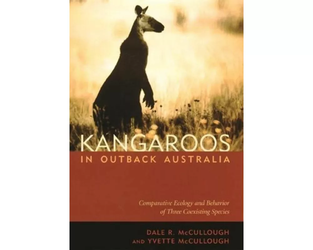 Kangaroos in Outback Australia