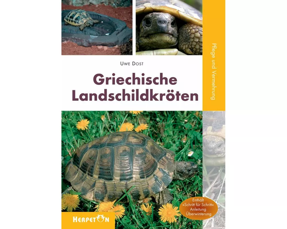 Griechische Landschildkröten