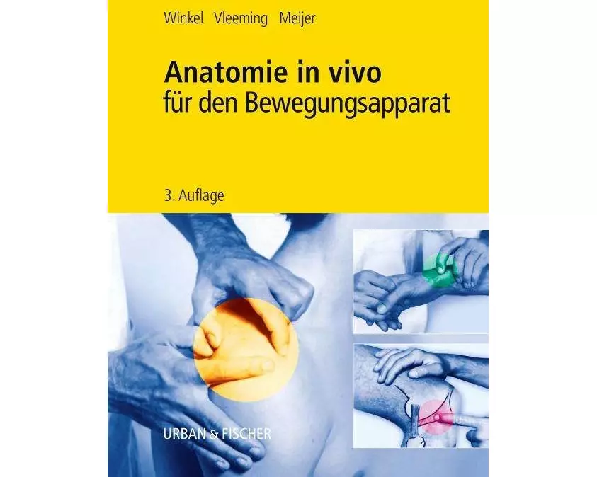 Anatomie in vivo für den Bewegungsapparat