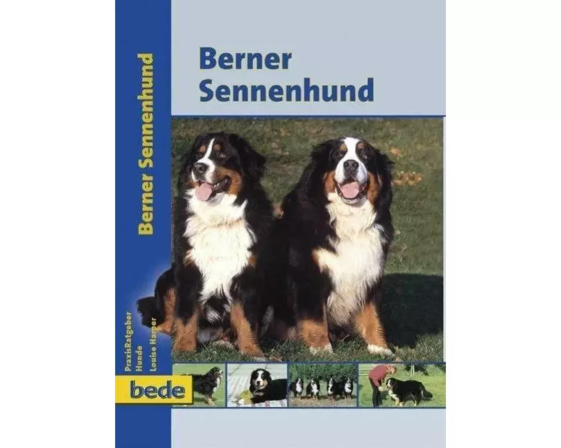 Berner Sennenhund