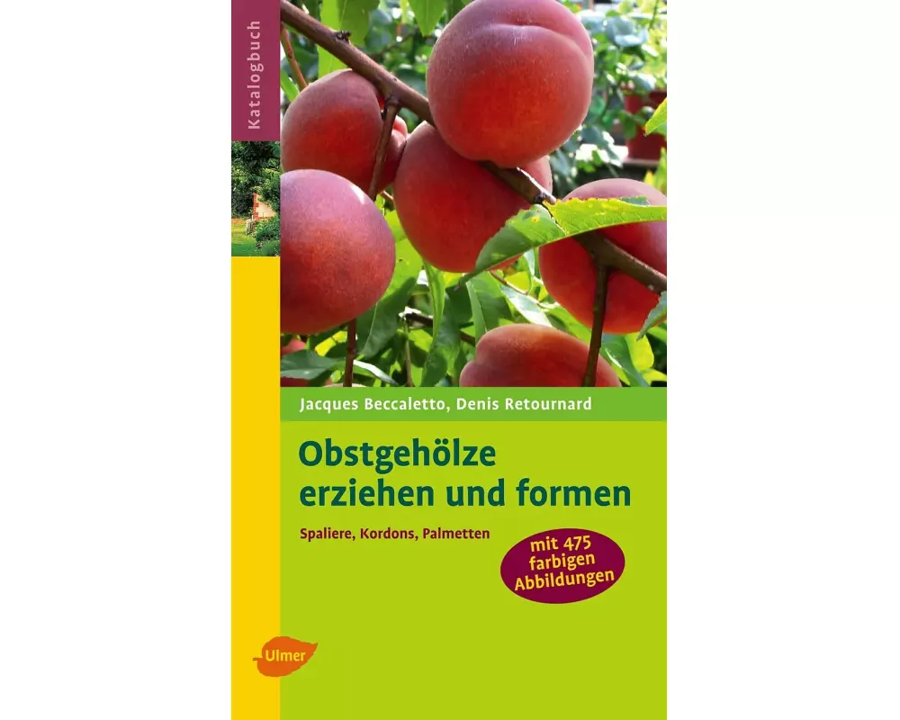 Obstgehölze erziehen und formen