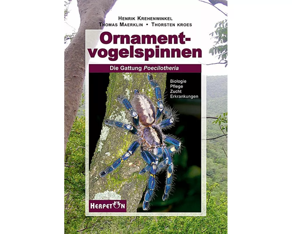 Ornamentvogelspinnen