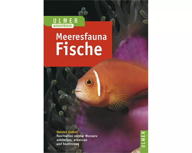 Ulmer Naturführer Meeresfauna