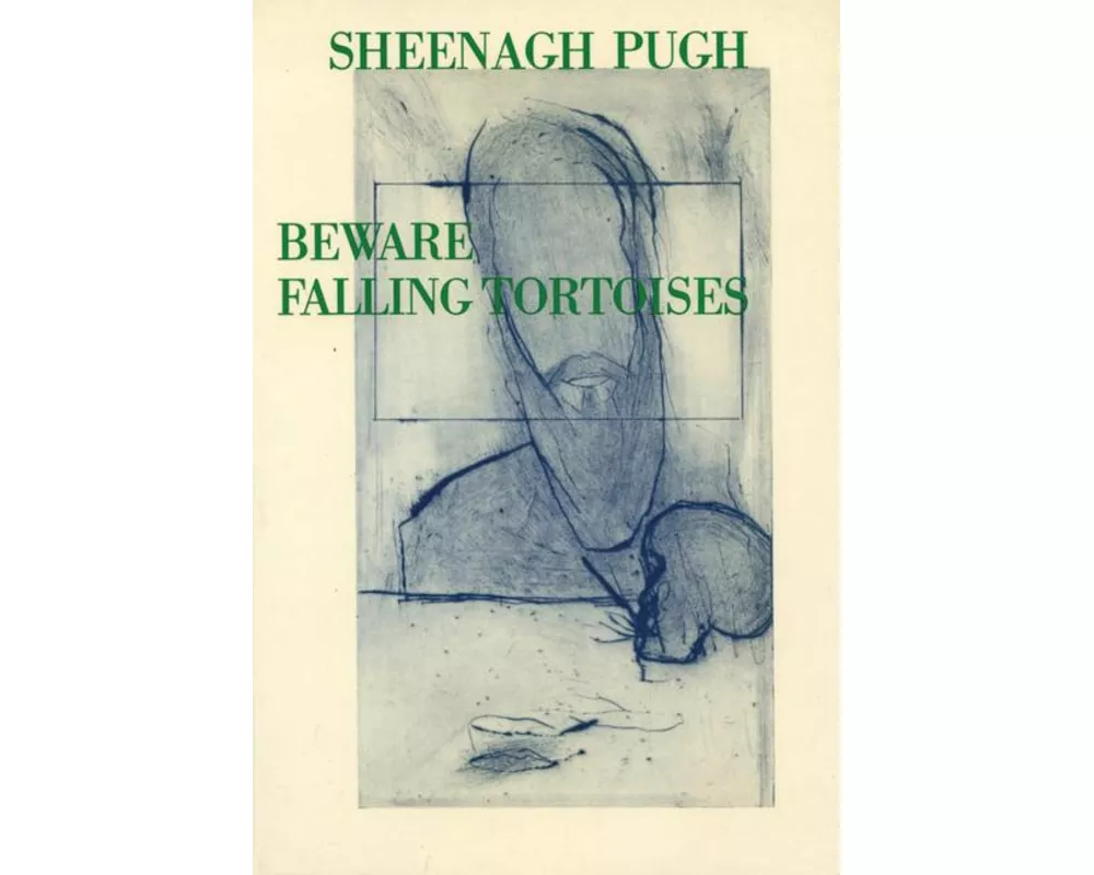 Beware Falling Tortoises