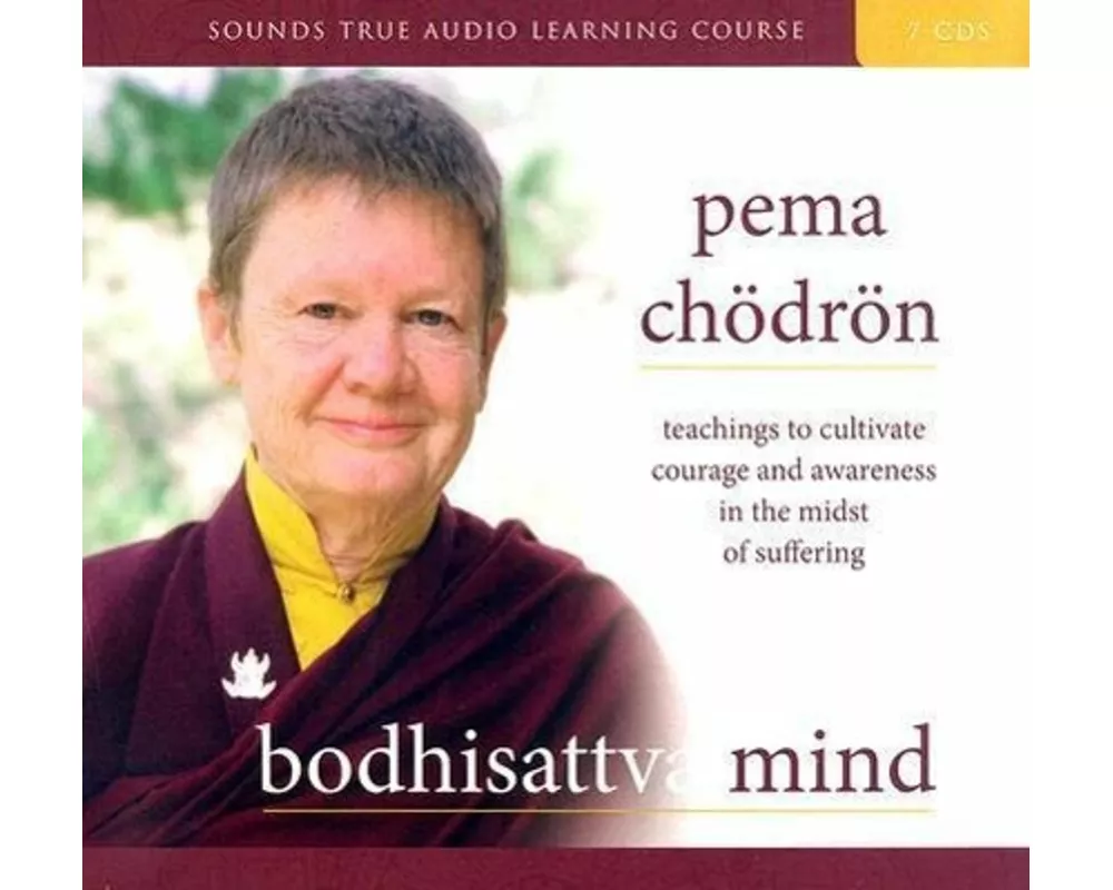 Bodhisattva Mind: Teachings to Cultivate Courage and Awareness in the Midst of Suffering