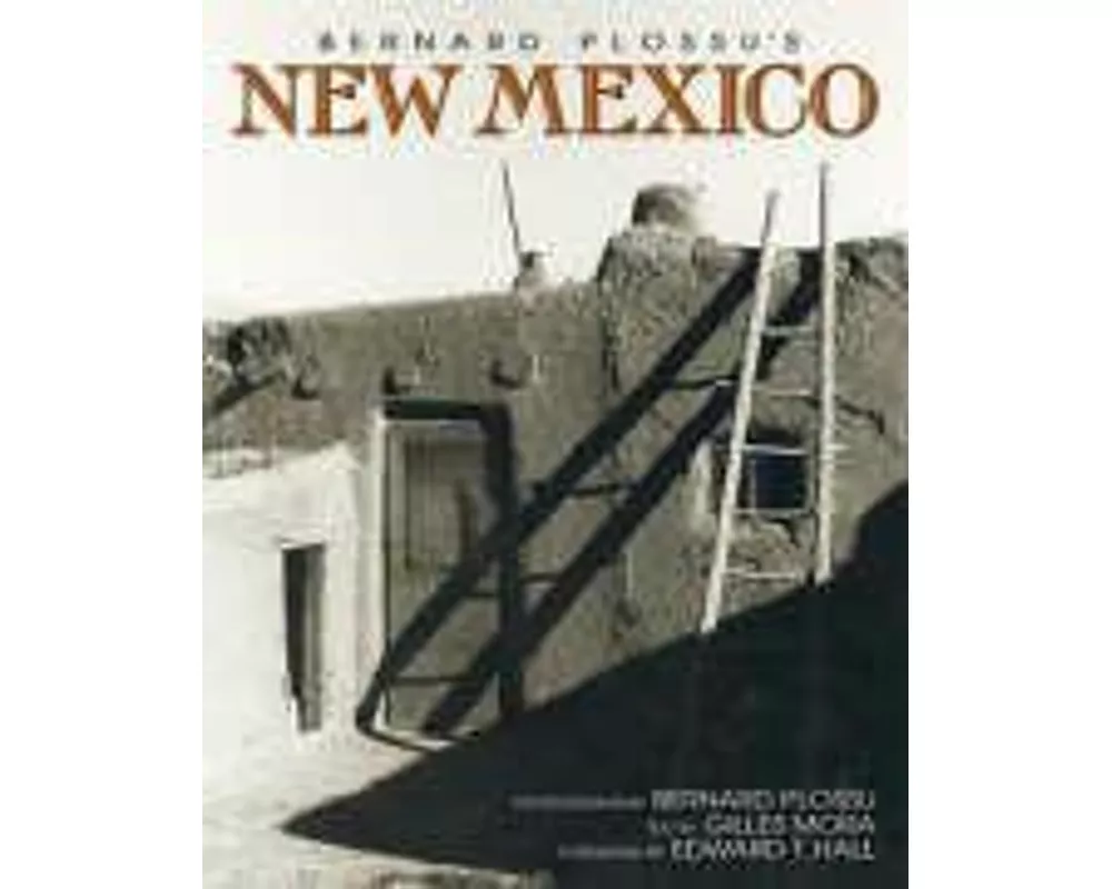Bernard Plossu's New Mexico