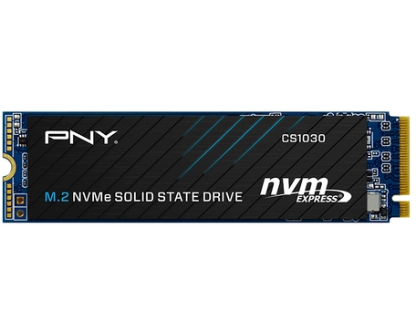 PNY CS1030 250 GB Solid State Drive