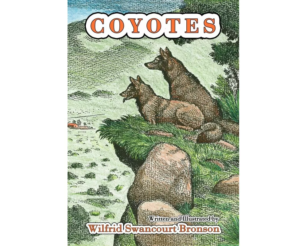 Coyotes