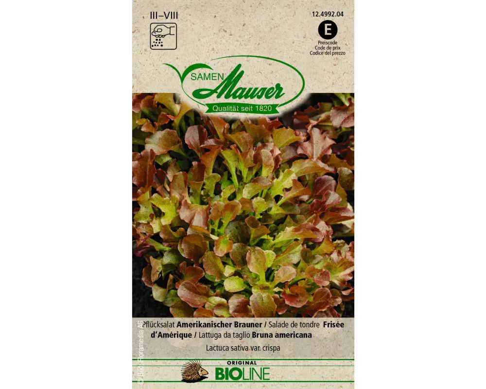 Samen Mauser Samen BIO Pflücksalat Amerikanischer Brauner