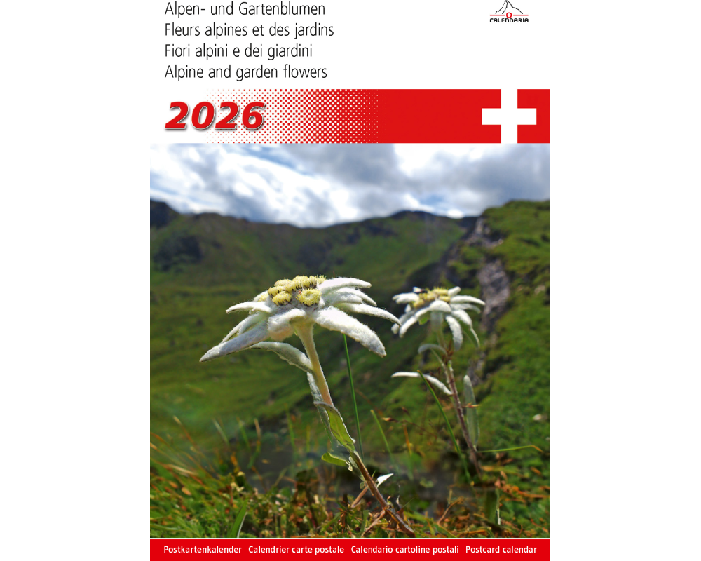 CALENDARIA Bildkalender 2026 9783036205397 Alpenblumen ML 14.8x22cm