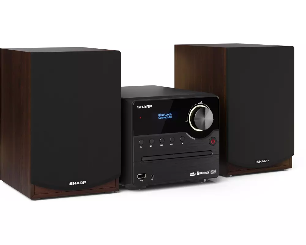 Sharp Musik-System XLB517DBR DAB+/FM Micro System