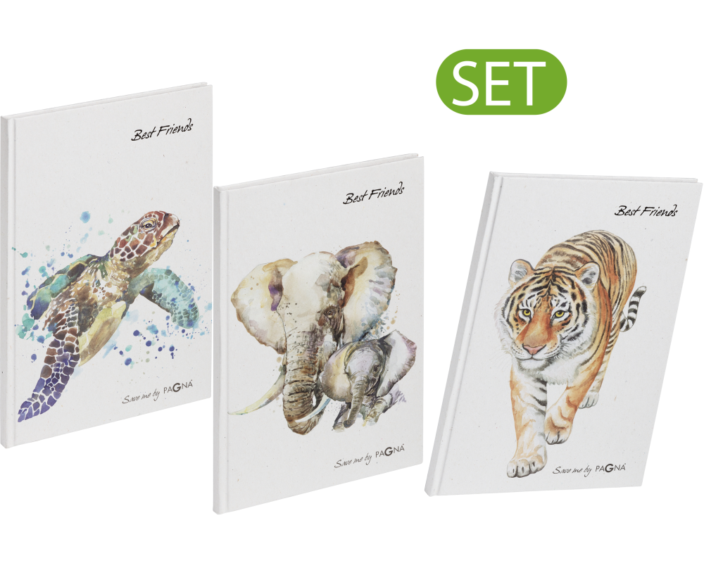 PAGNA Freundebuch Set Save me 3 Stk. 20374-25 Save me No.3 60 Seiten