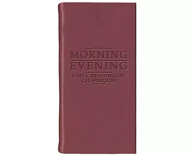 Morning And Evening - Matt Burgundy