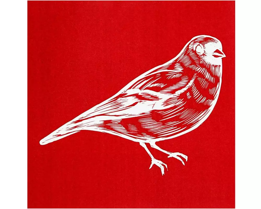 Creativ Company Siebdruck Vogel, 1 Stück