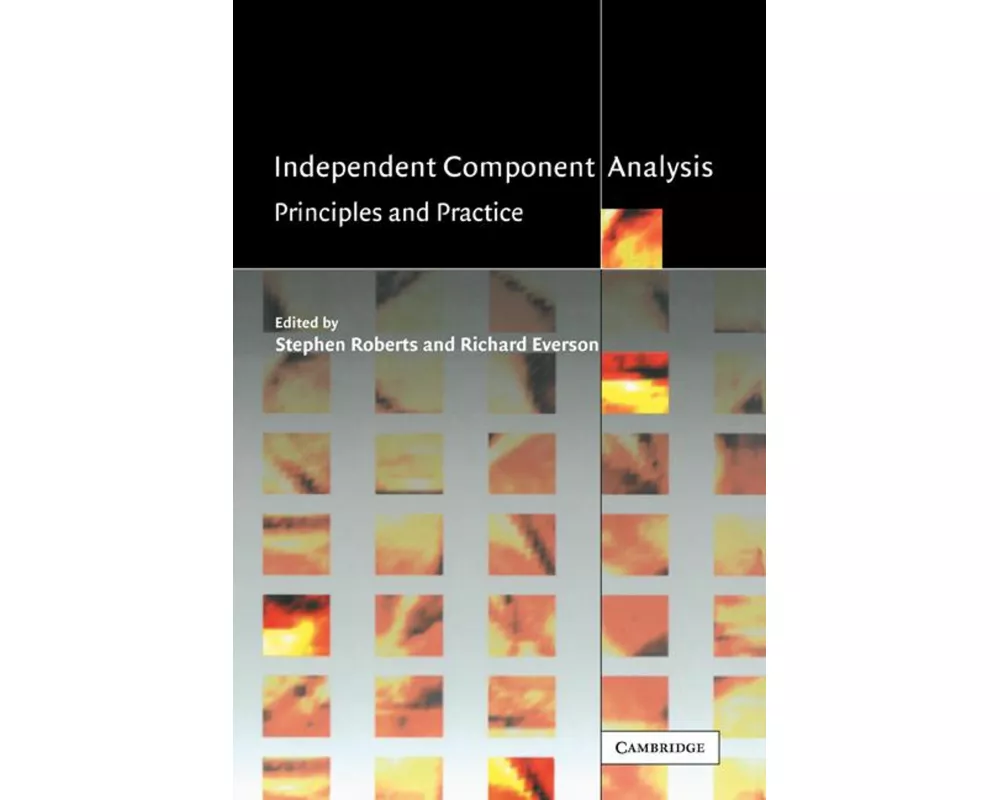 Independent Component Analysis